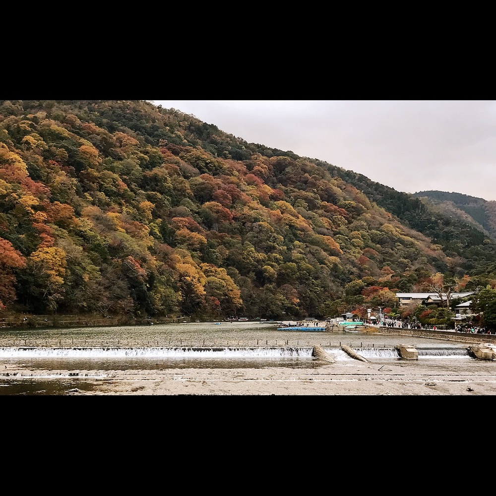 Meet your Posher, Zoe